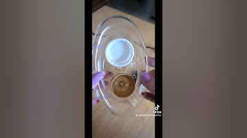 DIY crested gecko feeding ledge.