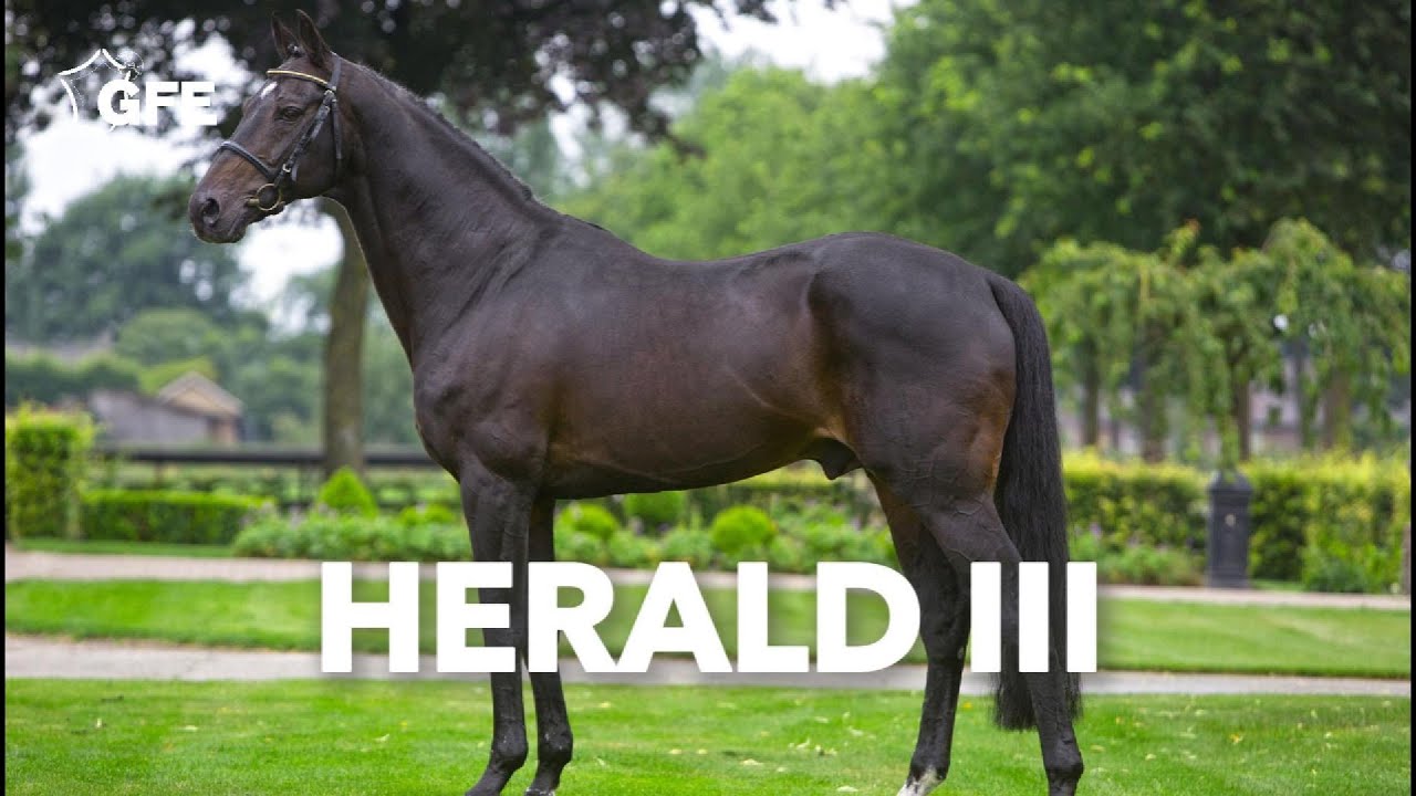 Herald III 2020 YouTube