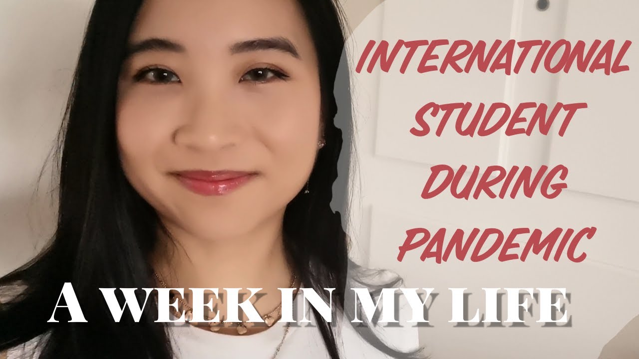 Doing a masters degree with a 15 hour time difference? | A week in pandemic life feat. 🐱
