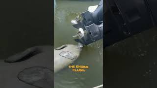 This Yamaha Outboard Engine Flush Hack Surprised an Unexpected Guest