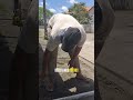 nunca mais fale mal do seu amigo de trabalho #obra #construção #youtubeshorts