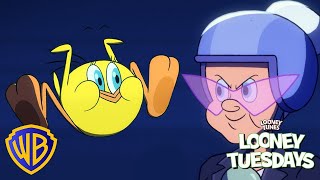 tweety bird and granny being unhinged looney tuesdays kidscartoons wbkids