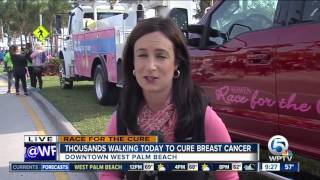Thousands walk to battle breast cancer in West Palm Beach