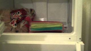 DCP Spring 2012- apartment tour (vlog #5)
