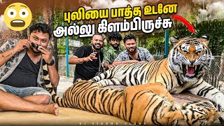 Thailand Tiger ka Hukum🐅🔥| Vj Siddhu Vlogs