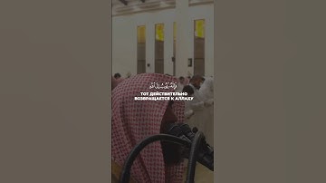 وكان الله غفورا رحيما - سورة الفرقان - القارئ محمد اللحيدان
