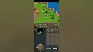 Tibiame lack 79 555+