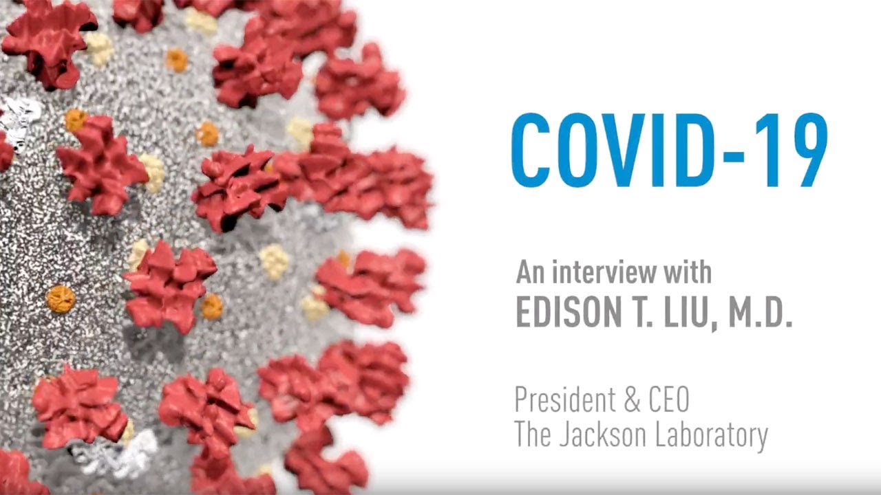COVID-19: An Interview with The Jackson Laboratory President Edison T ...
