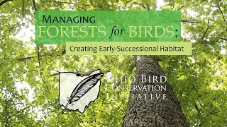 Managing Forests for Birds - Part 2 - Creating Early Successional Habitat