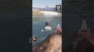 Beavers Removed My Tent… So I Got Revenge