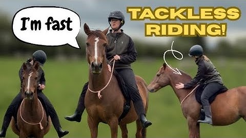 Teaching your horse how to ride TACKLESS! Riding a hot horse 