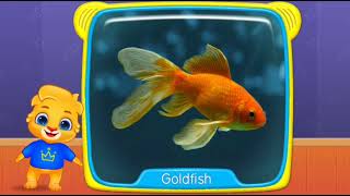 Baby's First Words #10 - Learn Sea Animals Names and Sound with Lucas for Kids - RV AppStudios Games screenshot 5