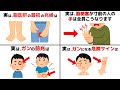 誰かに話したくなる「脂肪肝、脳梗塞、ガン」と健康の雑学