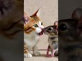 so cute 🥰
