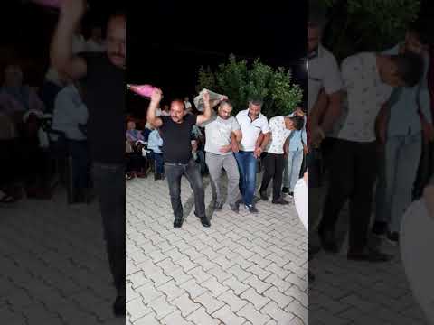 Aktaşlı Halil (gülizar)