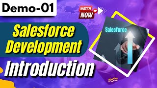 Salesforce Development Demo 01 | Introduction to Salesforce | Salesforce Tutorial for Beginners