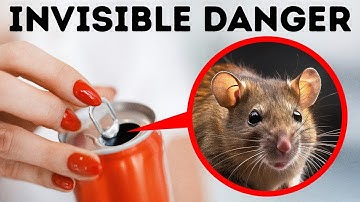 Is Your Home Really Safe? // Everyday Things With Hidden Risks