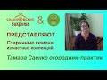 Тамара Саенко огородник-практик представляет семена из своей коллекции.