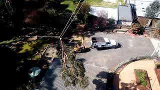 Controlled Speedline by Cutting Edge Tree Management - Ballarat