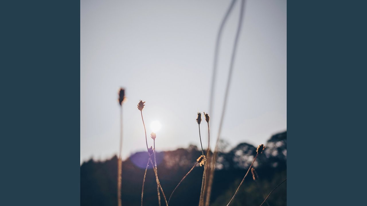 Guarda Summer Light su YouTube Guarda Summer Light su YouTube