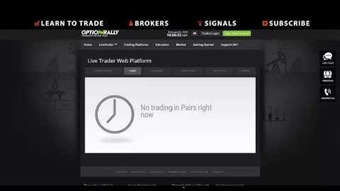 OptionRally Review The honest Broker