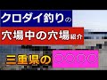 知らない人がほとんど！！チヌ釣りの穴場中の穴場を紹介・三重県の○○○○です