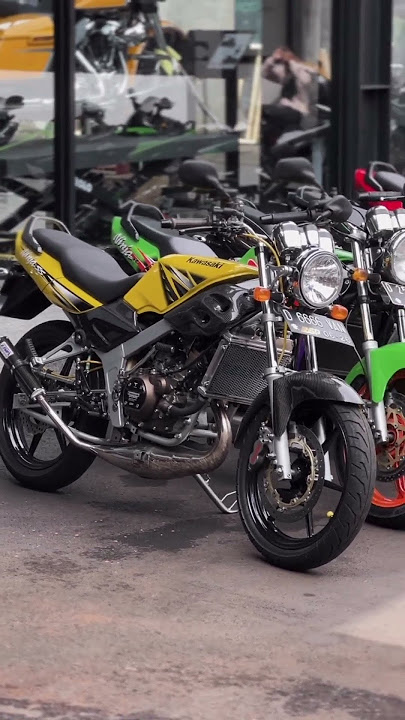 story wa ninja hedon abis#2taklover #2stroke #2takmenolakpunah  #ninja2stroke # #kawasakininja