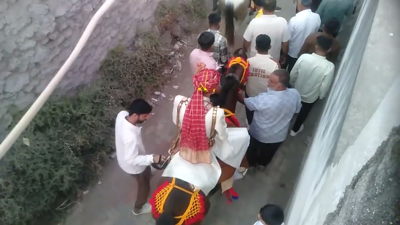Marriage Badodar#farm #agrifuture #agriculturalsystem #villagelife #farmingmethod #vlog #