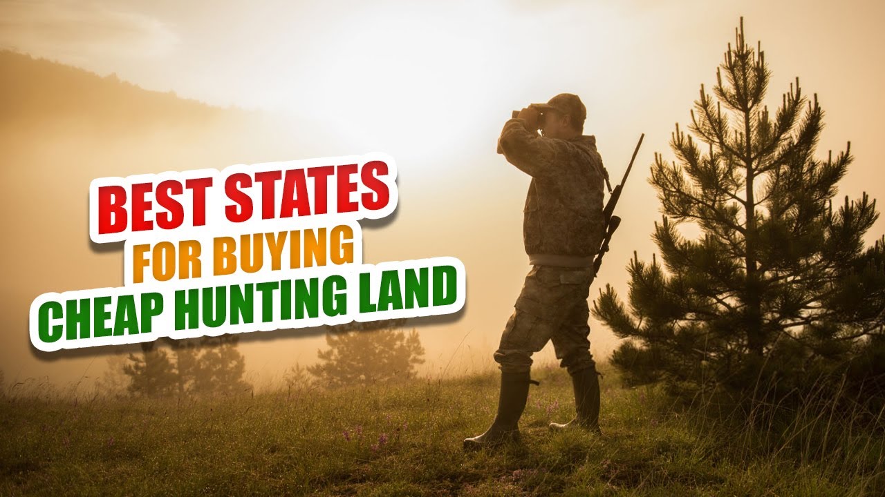 Best States For Buying Cheap Hunting Land