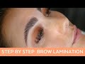 Brow Glaze: Step By Step Training For Brow Lamination