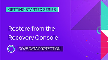 Restore from the Recovery Console