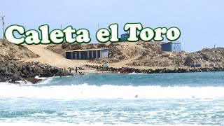 Caleta El Toro, el secreto mejor guardado entre Tongoy y Los Vilos