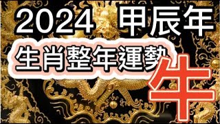 古柏論命 - 2024年甲辰年生肖整年運勢分享 - 牛