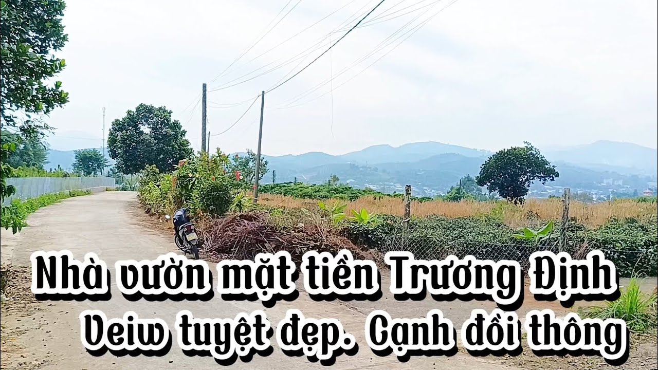 Bán nhà vườn mặt tiền đường Trương Định, TP. Bảo Lộc|| Cạnh veiw tuyệt đẹp, cạnh đồi thông mát mẻ