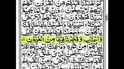 سور الرزق والبركة/سورة يس- الواقعة- الرحمن -الملك -الشيخ مشاري راشد العفاسي