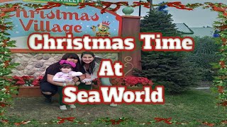 Christmas Time At SeaWorld