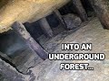 Bringing An Abandoned Gold Mine Back To Life: Part 16 of ?