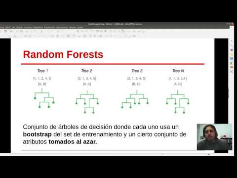 Vídeo: Identificación De Genes Discriminatorios De Resistencia A Antibióticos Entre Resistomes Ambientales Usando Algoritmo De árbol Extremadamente Aleatorio