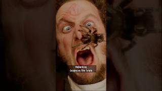 Polskie Akcenty W Kevinie Samym W Domu