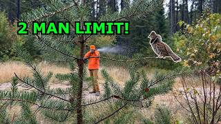 September GROUSE HUNTING with a 410 SHOTGUN! (2 MAN LIMIT!)