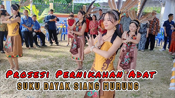 Prosesi (Pernikahan Adat) Suku Dayak Siang Murung I Dayak wedding traditions!
