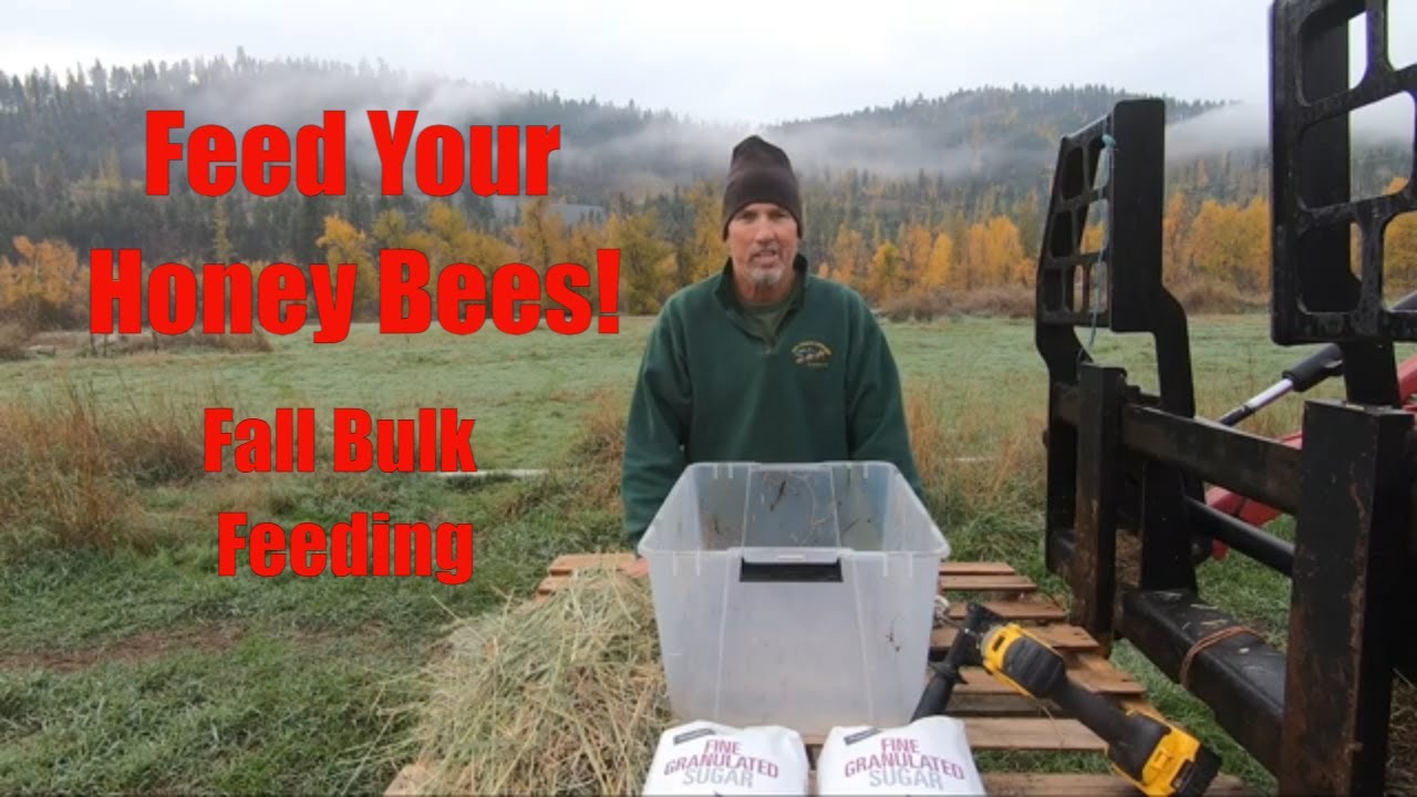 A Fall Feeding Method for YOUR Honey Bees from Kettle Haven Ranch