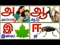 Uyir Ezhuthukal | Learn Tamil /prinit channel