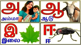 Uyir Ezhuthukal | Learn Tamil Alphabets/  உயிர் எழுத்துக்கள்/prinit
