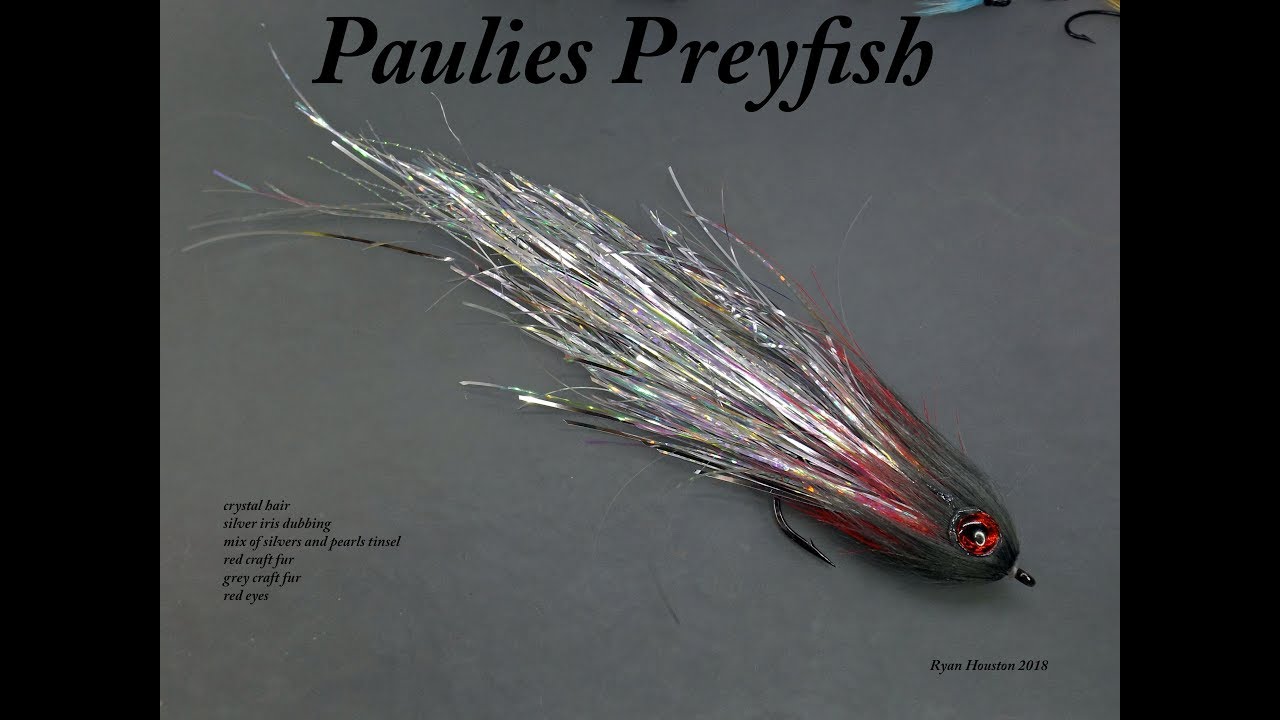 camera iphone 8 plus apk TYING THE PAULIES PREYFISH PIKE FLY WITH RYAN HOUSTON 2018