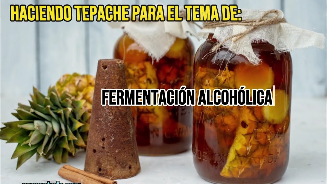[Fermentación Alcohólica] Haciendo Tepache 🍺 - YouTube