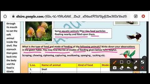 CLASS-7|Solution of science worksheet7|Date-10/8/21|nutrition in animal,different way of taking food