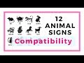 12 Chinese animal signs and their compatibility - trinity combination, allies and conflicting sign