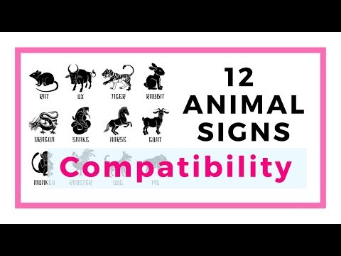 Video: Eastern Compatibility Horoscope: Cat And Dragon