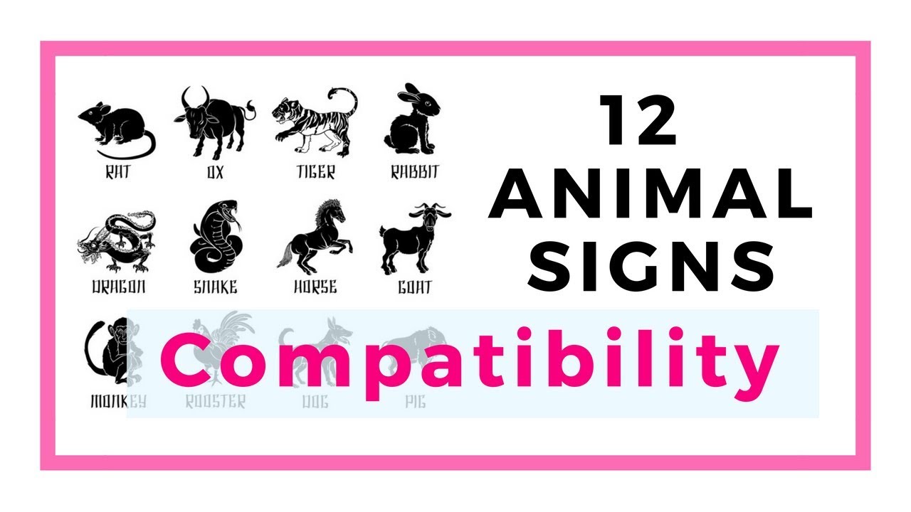 12 Chinese animal signs and their compatibility - trinity combination,  allies and conflicting sign - YouTube